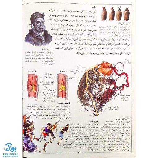 کتاب دانشنامه مصور بدن انسان اثر ریچارد واکر - اعتلای وطن | THE HUMAN BODY