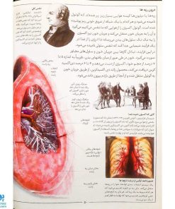 کتاب دانشنامه مصور بدن انسان اثر ریچارد واکر - اعتلای وطن | THE HUMAN BODY