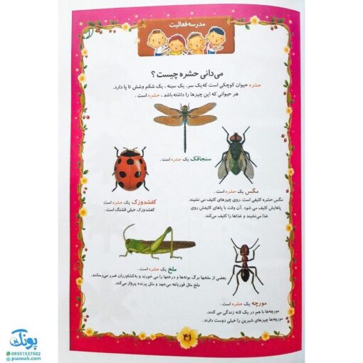 کتاب مدرسه فعالیت _ صفائی دیبا | همکلاسی