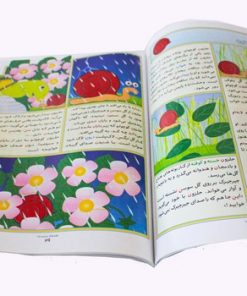 کتاب ۴۰ قصه ی بی بی رعنا (برای تمرین ۴۰ حرف الفبا، تقویت روان خوانی و املا)