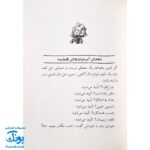 کتاب جودی کارگاه می‌شود (مجموعه جودی دمدمی جلد ۸)