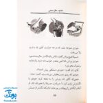 کتاب جودی آینده را پیشگویی می‌کند (مجموعه جودی دمدمی جلد ۴)