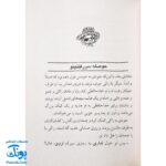 کتاب جودی و تابستان پرماجرا (مجموعه جودی دمدمی جلد ۹)