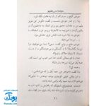کتاب جودی و تابستان پرماجرا (مجموعه جودی دمدمی جلد ۹)