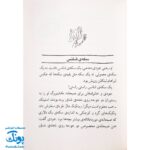 کتاب جودی و طلسم بدشانسی (مجموعه جودی دمدمی جلد ۱۰)
