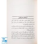 کتاب جودی مریخی می‌شود (مجموعه جودی دمدمی جلد ۱۱)