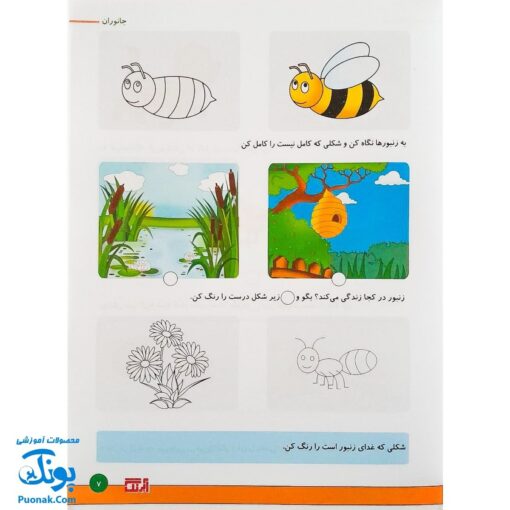کتاب آموزشی علوم ۲ "جانوران" آبرنگ (برای کودکان ۴ تا ۶ سال)