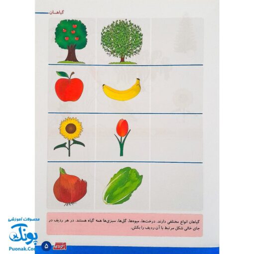 کتاب آموزشی علوم ۳ "علوم گیاهان" آبرنگ (برای کودکان ۴ تا ۶ سال)