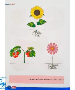 کتاب آموزشی علوم ۳ "علوم گیاهان" آبرنگ (برای کودکان ۴ تا ۶ سال)