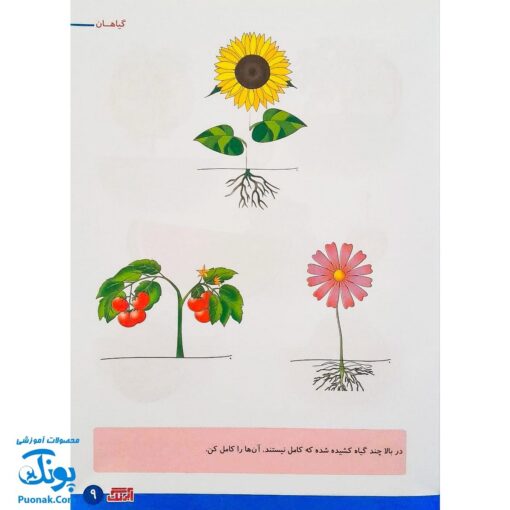 کتاب آموزشی علوم ۳ "علوم گیاهان" آبرنگ (برای کودکان ۴ تا ۶ سال)