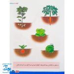 کتاب آموزشی علوم ۳ "علوم گیاهان" آبرنگ (برای کودکان ۴ تا ۶ سال)