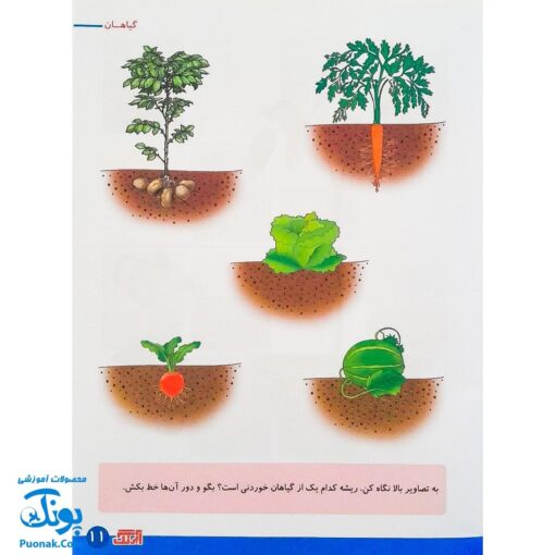 کتاب آموزشی علوم ۳ "علوم گیاهان" آبرنگ (برای کودکان ۴ تا ۶ سال)