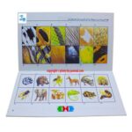 مجموعه بازآموز پیش دبستان - ۵ کتابی