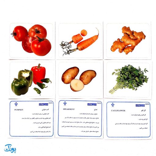 فلش کارت های دیدآموز "سبزیجات"