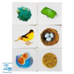 فلش کارت مفهوم رابطه ۳۶ کارت به همراه راهنمای فعالیت (کارت های زبان آموزی) | نردبان