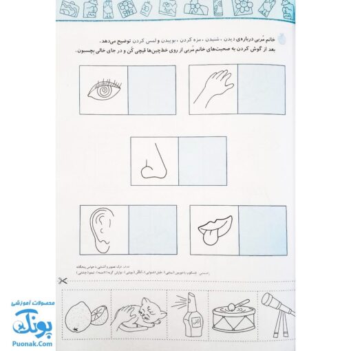 کتاب آموزش پیش از دبستان شاپرک : خواندن ، نوشتن ، ریاضی ، علوم (مجموعه ۴ جلدی)