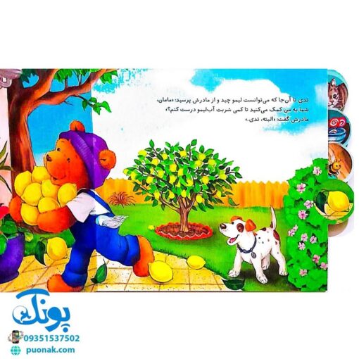 کتاب تدی کمک می کند (مجموعه ماجراهای تدی)