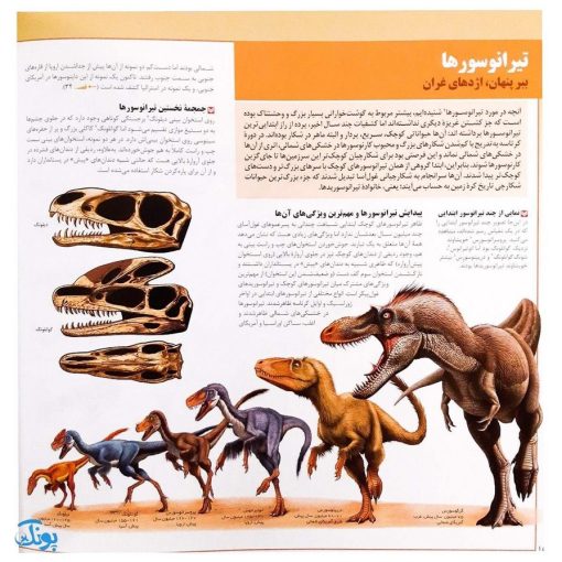 کتاب فرهنگ نامه دایناسورها ( شناخت نامه جامع دایناسورهای ایران و جهان )