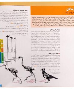 کتاب فرهنگ نامه دایناسورها (شناخت نامه جامع دایناسورهای ایران و جهان)