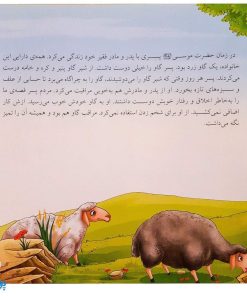 مجموعه حیوانات در قرآن کریم (ده داستان زیبا از حیوانات ذکر شده در قرآن کریم) جلد سخت - محصولات آموزشی پونک