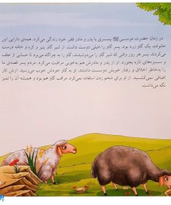 کتاب حیوانات در قرآن کریم (ده داستان زیبا از حیوانات ذکر شده در قرآن کریم) جلد سخت