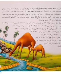 کتاب حیوانات در قرآن کریم (ده داستان زیبا از حیوانات ذکر شده در قرآن کریم) جلد سخت