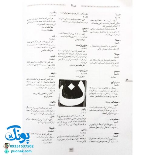 کتاب فرهنگ فارسی مهتاب (دبستان)