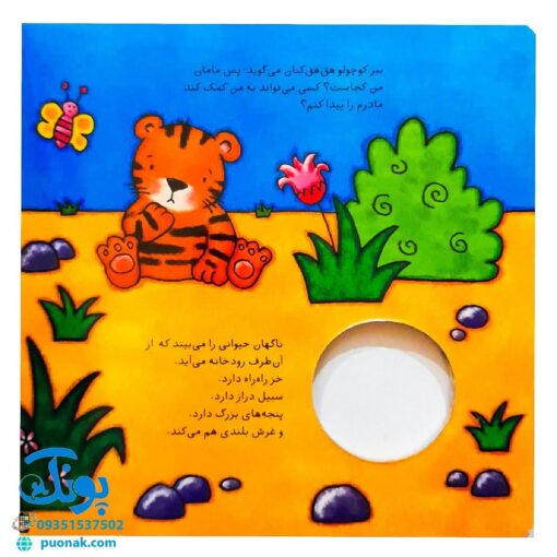 کتاب مامان من کو؟ توله ببر کوچولو (کتاب سوت دار) - شهر قلم
