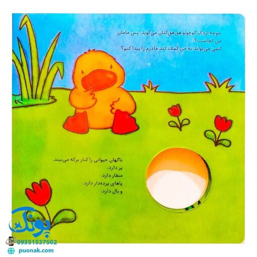 کتاب مامان من کو؟ جوجه اردک کوچولو (کتاب سوت دار) - شهر قلم