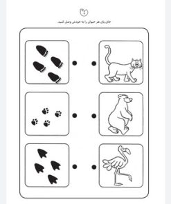کتاب کار کودک شناخت حیوانات (مجموعه قاصدک دانایی ۵)