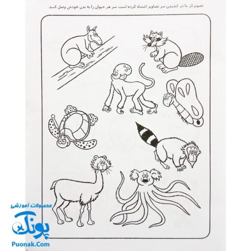 کتاب کار کودک شناخت حیوانات (مجموعه قاصدک دانایی ۵)