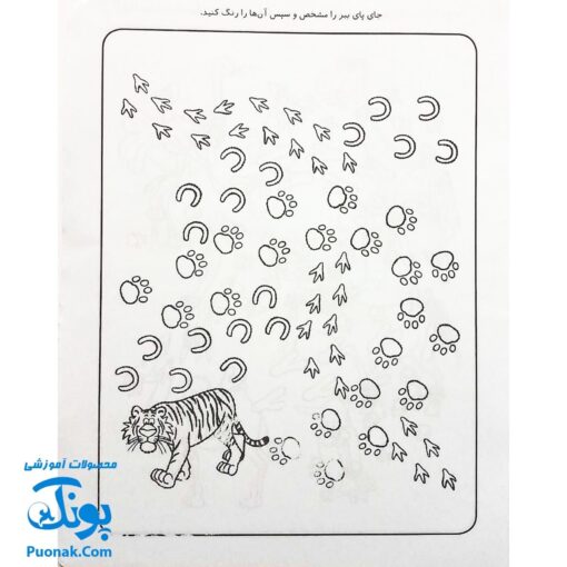 کتاب کار کودک شناخت حیوانات (مجموعه قاصدک دانایی ۵)
