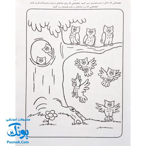 کتاب کار کودک مفاهیم اولیه‌ی ریاضی (مجموعه قاصدک دانایی ۶)