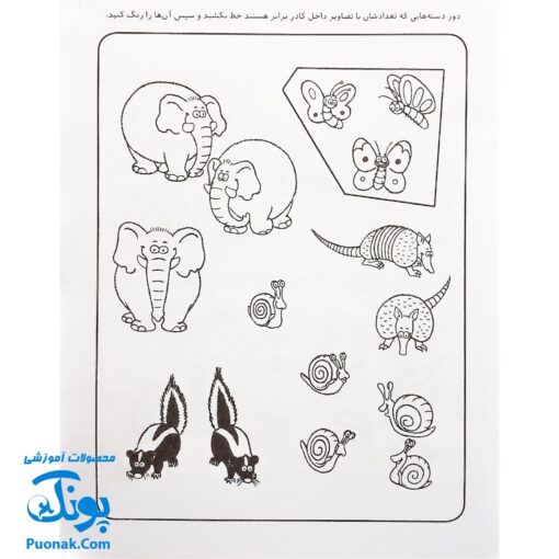 کتاب کار کودک شمارش و دسته بندی (مجموعه قاصدک دانایی ۸)