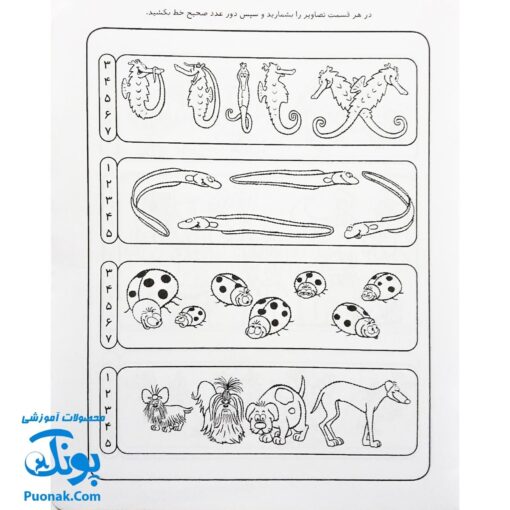 کتاب کار کودک شناخت اعداد (مجموعه قاصدک دانایی ۹)