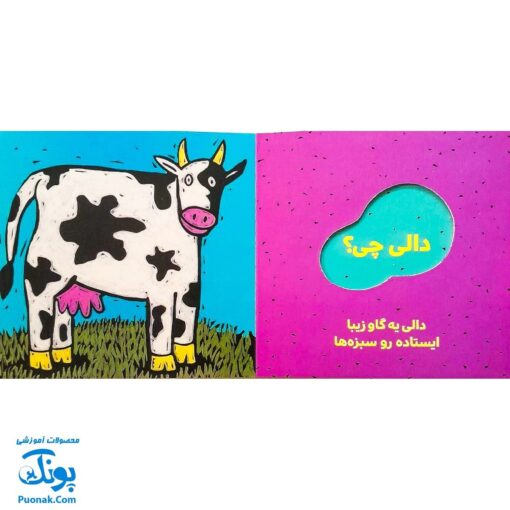 کتاب دالی چی؟ دالی کی؟ (مجموعه دالی بازی) | نردبان