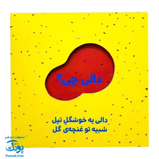 کتاب دالی چی؟ دالی کی؟ (مجموعه دالی بازی) | نردبان