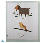 کتاب خودم می خوانم ۲ (بادبادک) حرف بـ  ب  : فارسی آموز برای کلاس اولی ها