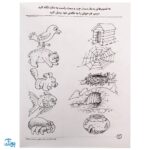 کتاب مفاهیم علوم / طبقه بندی محیط اطراف ما (مجموعه کتاب های کار دنیای کودکان تیزهوش ۱۰)