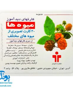 فلش کارت های دیدآموز " میوه ها "