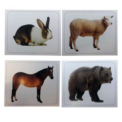 فلش کارت های دیدآموز " جانوران ۱ "