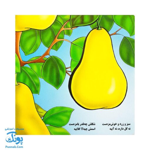 کتاب میوه ها (شعر) - خانه ادبیات