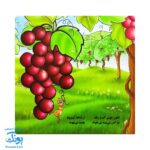 کتاب میوه ها (شعر) - خانه ادبیات