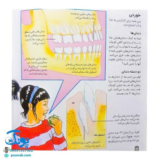 دانستنی‌های علمی برای کودکان مجموعه ۱۲ جلدی