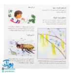 دانستنی‌های علمی برای کودکان مجموعه ۱۲ جلدی