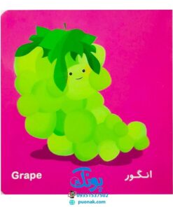 کتاب فرهنگ تصویری نی نی ها (میوه ها) - شهر قلم