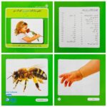 کتاب اولین واژگان تصویری کودک من مجموعه ۵ جلدی