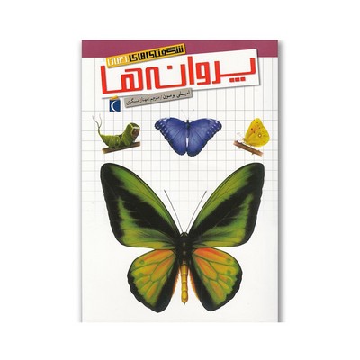 کتاب پروانه‌ها (مجموعه شگفتی‌های جهان) - محراب قلم