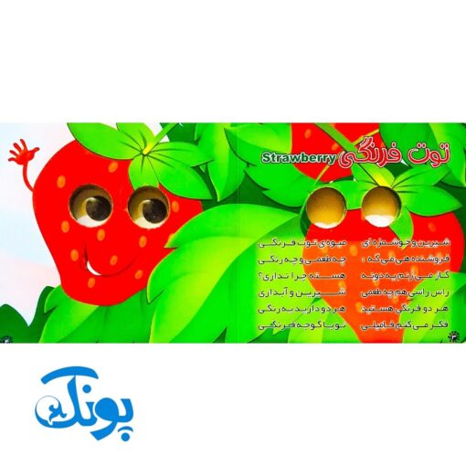 کتاب چشم قلمبه ۳ میوه‌ها