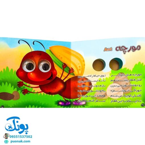 کتاب چشم قلمبه ۵ حشرات